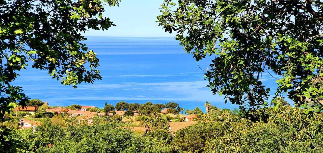 Naturamare Apartments - Piscina Idromassaggio Con Vista Mare Aperta Fino Alle Ore 22-00 Capo Vaticano Bagian luar foto